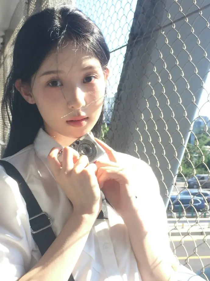 海姆达尔下载技术原理示意图